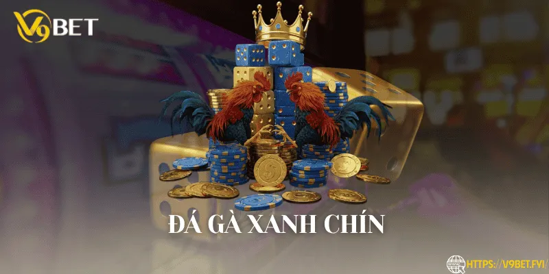 Đá gà 